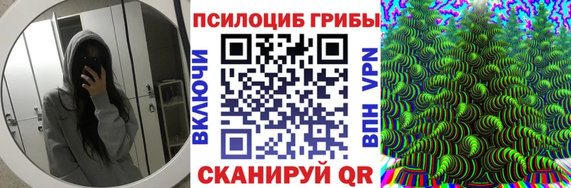 закладка  Теберда  Псилоцибиновые грибы ЛСД 