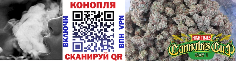 где найти Теберда Бошки Шишки ГИДРОПОН
